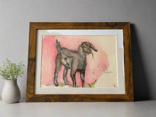 Load image into Gallery viewer, Framed Original Watercolor Paintings