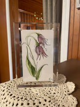 Load image into Gallery viewer, 3x5 Original Watercolors