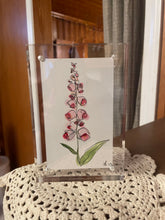 Load image into Gallery viewer, 3x5 Original Watercolors
