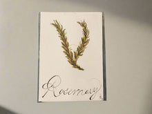 Load image into Gallery viewer, Original Watercolor Paintings