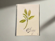 Load image into Gallery viewer, Original Watercolor Paintings