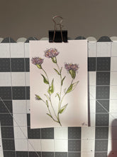 Load image into Gallery viewer, 4x6 Original Watercolors
